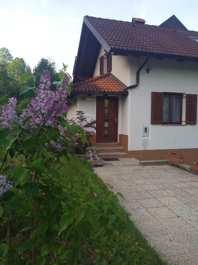 Apartment Sela تولمين المظهر الخارجي الصورة